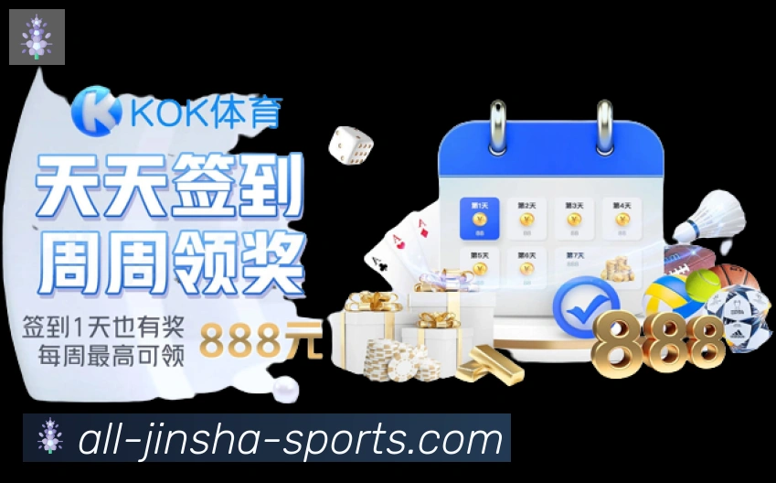 未来规划